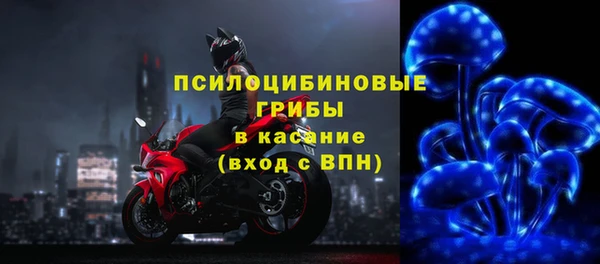 соль ск Богданович