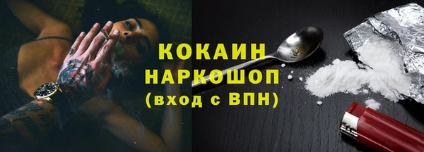 соль ск Богданович