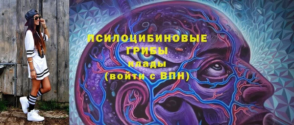 не бодяженный Богородицк