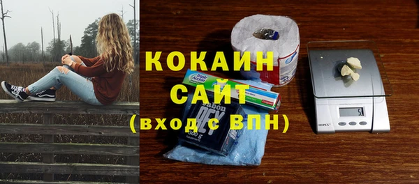 соль ск Богданович