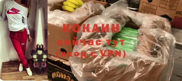 соль ск Богданович