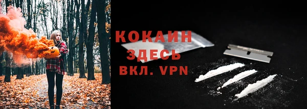 соль ск Богданович