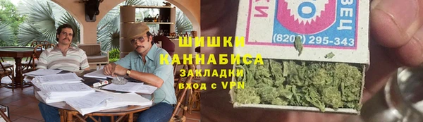 соль ск Богданович