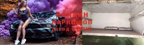 соль ск Богданович