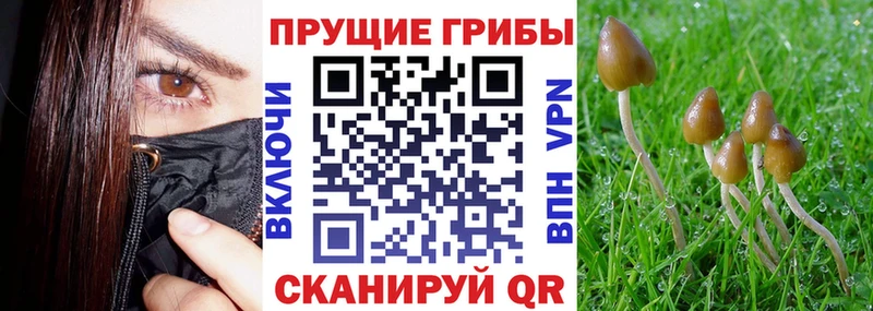 Псилоцибиновые грибы мухоморы  Заозёрск 